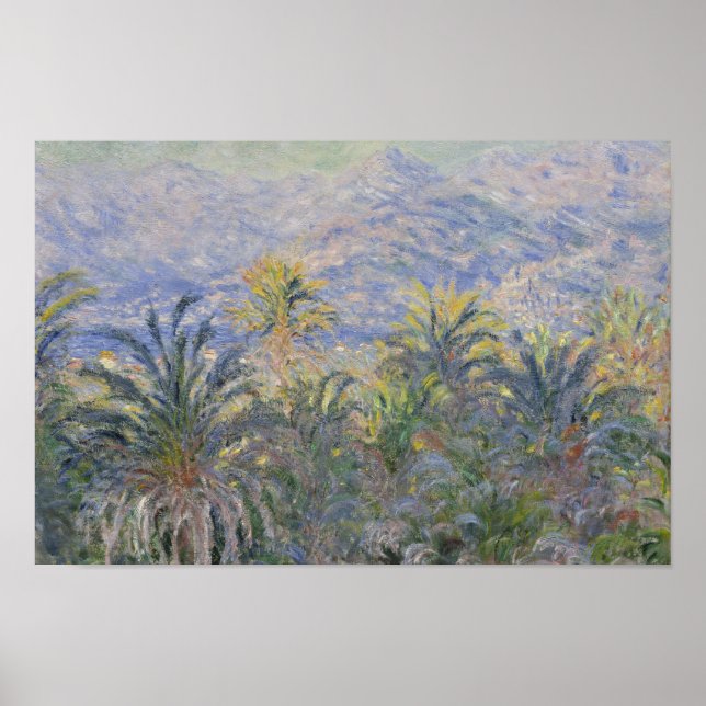 Claude Monet - Palmen in Bordighera Poster (Vorne)