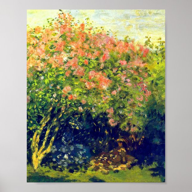 Claude Monet Poster (Vorne)