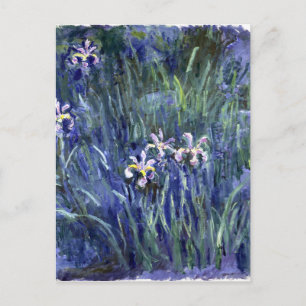Claude Monet: Schwertlilien Postkarte
