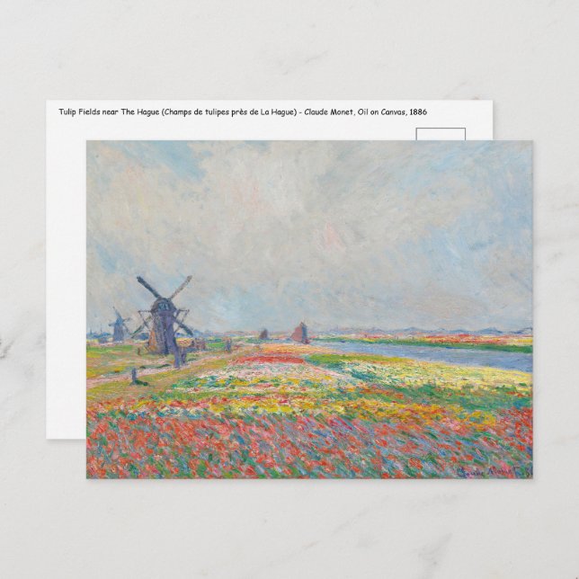 Claude Monet - Tulip Fields bei Den Haag Postkarte (Vorne/Hinten)