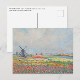 Claude Monet - Tulip Fields bei Den Haag Postkarte