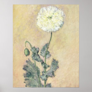 Claude Monet   Weißer Mohn, 1883 Poster