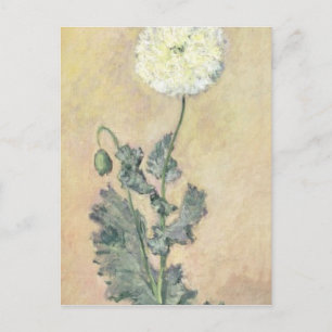 Claude Monet   Weißer Mohn, 1883 Postkarte