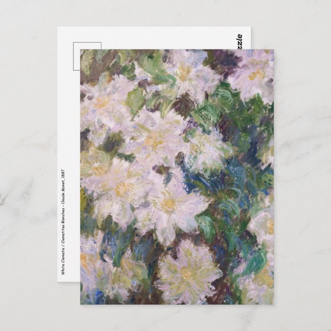 Claude Monet - White Clematis Postkarte (Vorne/Hinten)