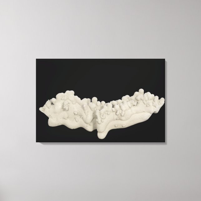 Clay Concretion Leinwanddruck (Vorderseite)