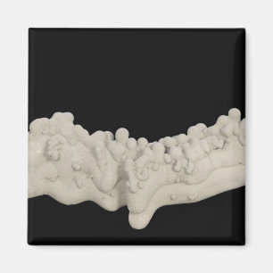 Clay Concretion Magnet