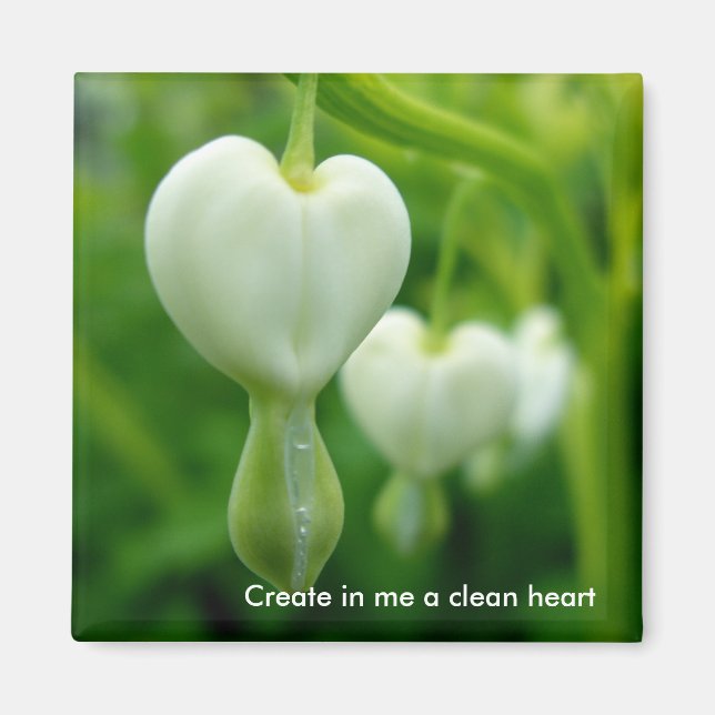Clean Heart Magnet (Vorne)