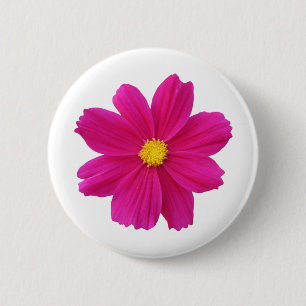 Clean.png Button