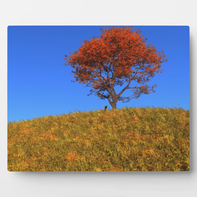 Clear Autumn Day Foto Plaque Fotoplatte (Vorderseite)