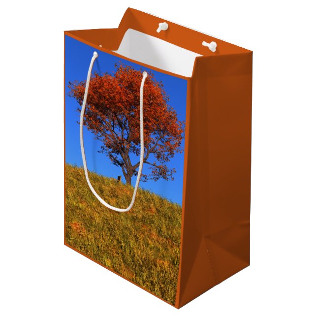 Clear Autumn Day Gift Bag Mittlere Geschenktüte (Vorderseite Schrägansicht)