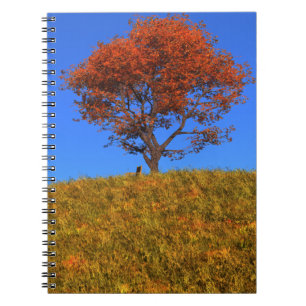 Clear Autumn Day Notizblock