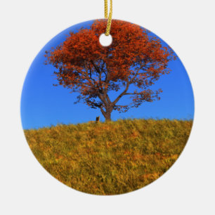 Clear Autumn Day Ornament