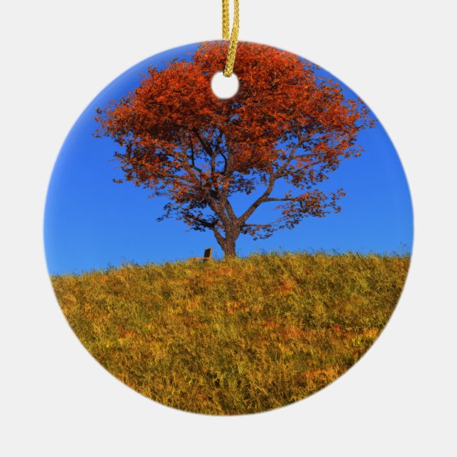 Clear Autumn Day Ornament (Vorne)