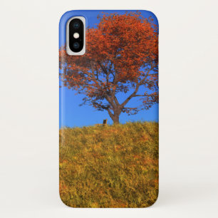 Clear Herbst Day iPhone Case-Mate Hülle
