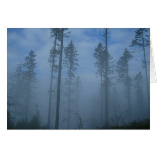 Clearing-Nebel