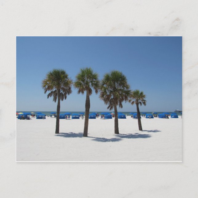 Clearwater Beach FL Postkarte (Vorderseite)