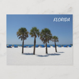 Clearwater Beach FL Postkarte
