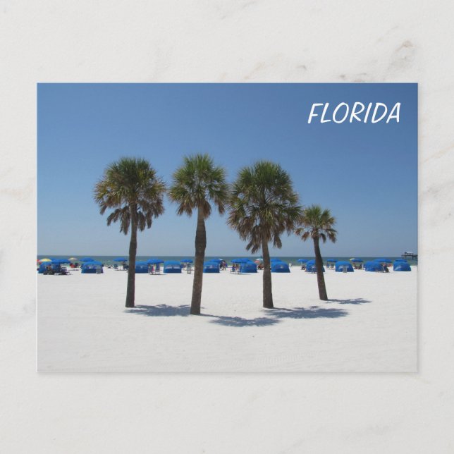 Clearwater Beach FL Postkarte (Vorderseite)