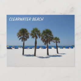 Clearwater Beach FL Postkarte