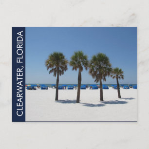Clearwater Beach FL Postkarte