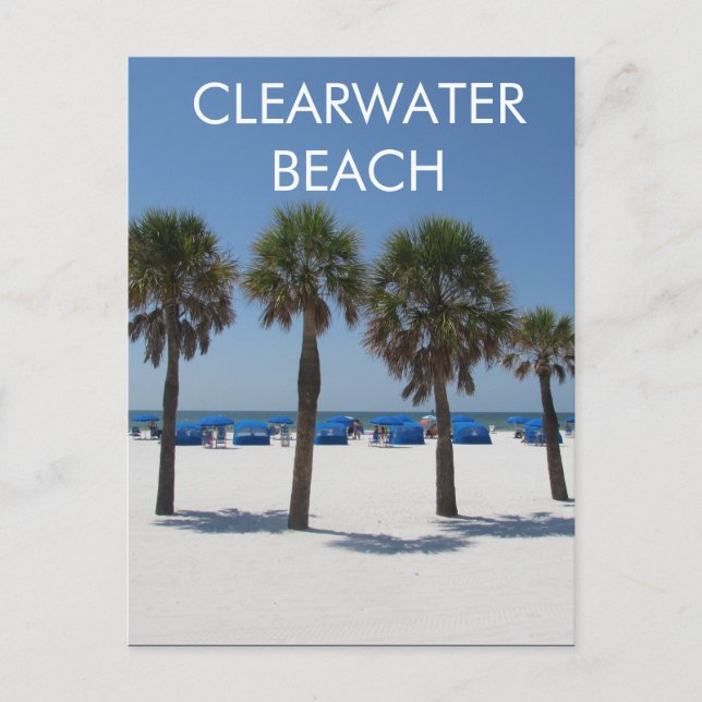 Clearwater Beach Florida Postkarte (Vorderseite)