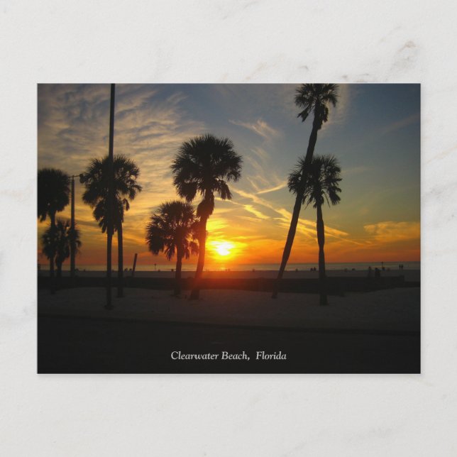 Clearwater Beach Sunset Postcard Postkarte (Vorderseite)