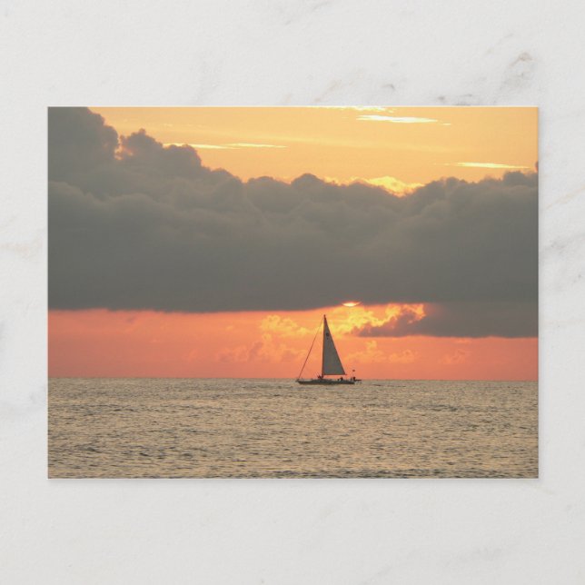 Clearwater Beach Sunset Postcard Postkarte (Vorderseite)