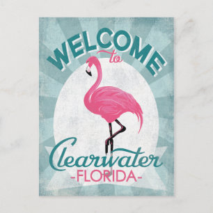 Clearwater Florida Pink Flamingo Retro Postkarte