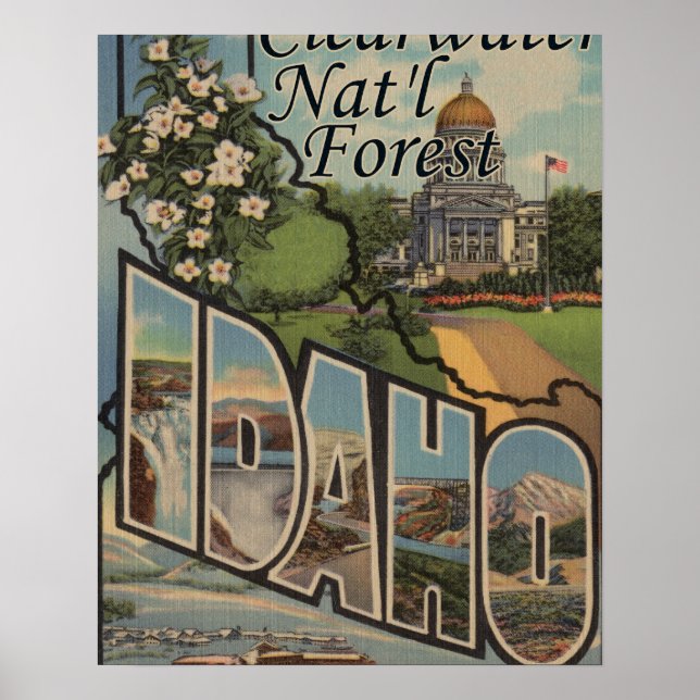 Clearwater Nat'l Forest, Idaho Poster (Vorne)
