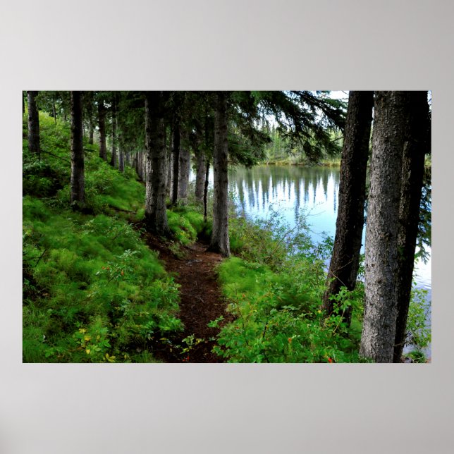 Clearwater River Trail Poster (Vorne)
