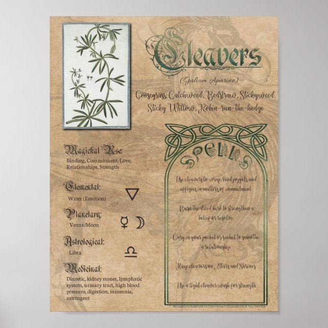 Cleavers Herbal Buch der Schatten Pagan Wiccan Poster (Vorne)