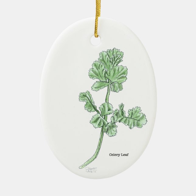Clelery Leaf Ornament (Vorne)