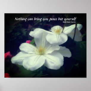 Clematics Blume Friedensangebot Inspiration Poster