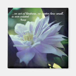 Clematics Blume Kindness Inspiration Magnet
