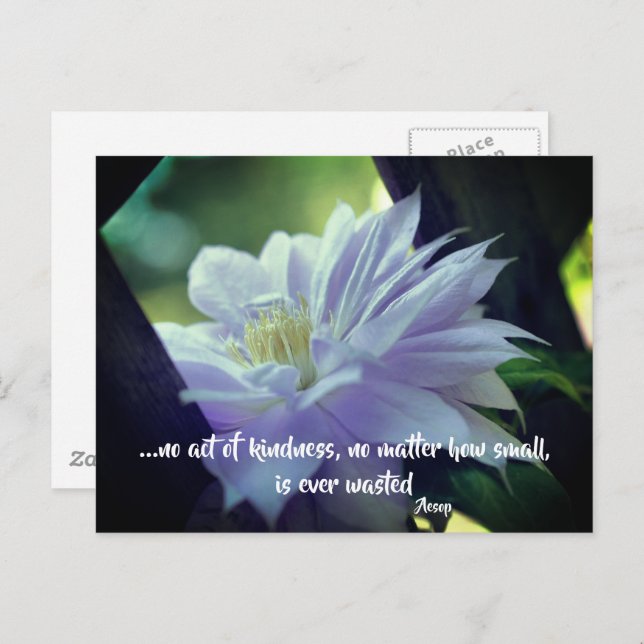 Clematics Blume Kindness Inspiration Zitat  Postkarte (Vorne/Hinten)