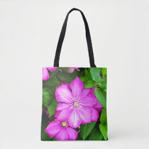 Clematis