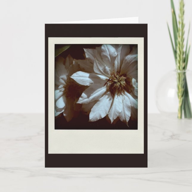 Clematis 1 Condolences Beileid Dankeskarte (Vorderseite)