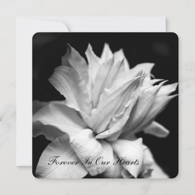 Clematis 1b Ankündigung zur Beerdigung (Vorderseite)