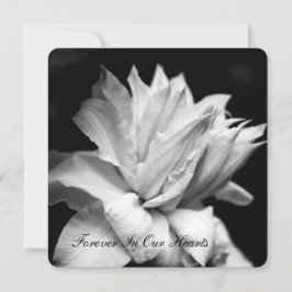 Clematis 1b Ankündigung zur Beerdigung