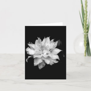 Clematis 2 Beileid mit leerer Note Card Condolence Dankeskarte