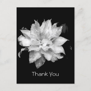 Clematis 3a Memorial Beileid Danke Postcard Postkarte