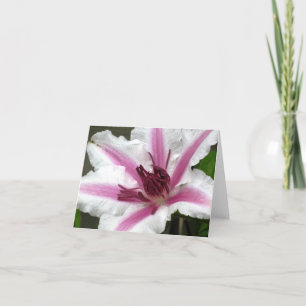 Clematis-Anmerkungs-Karte Karte