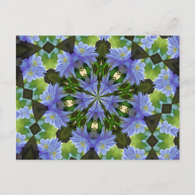 Clematis Blume Kaleidoskop Postcard Postkarte (Vorderseite)