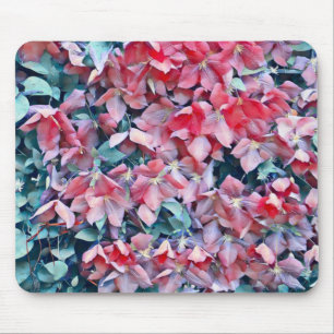 Clematis Blume Mousepad