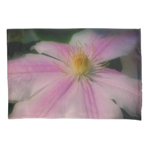 Clematis Blume Petals Up Nah Kissenbezug