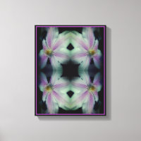 Clematis Blume Petals Up Nah Up Abstrakt
