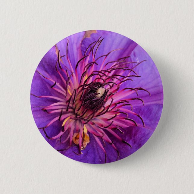 CLEMATIS BUTTON (Vorderseite)