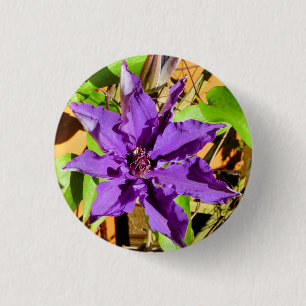 CLEMATIS BUTTON