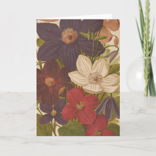 Clematis   George Nicholson Karte