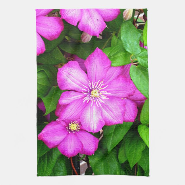 Clematis Geschirrtuch (Vertikal)